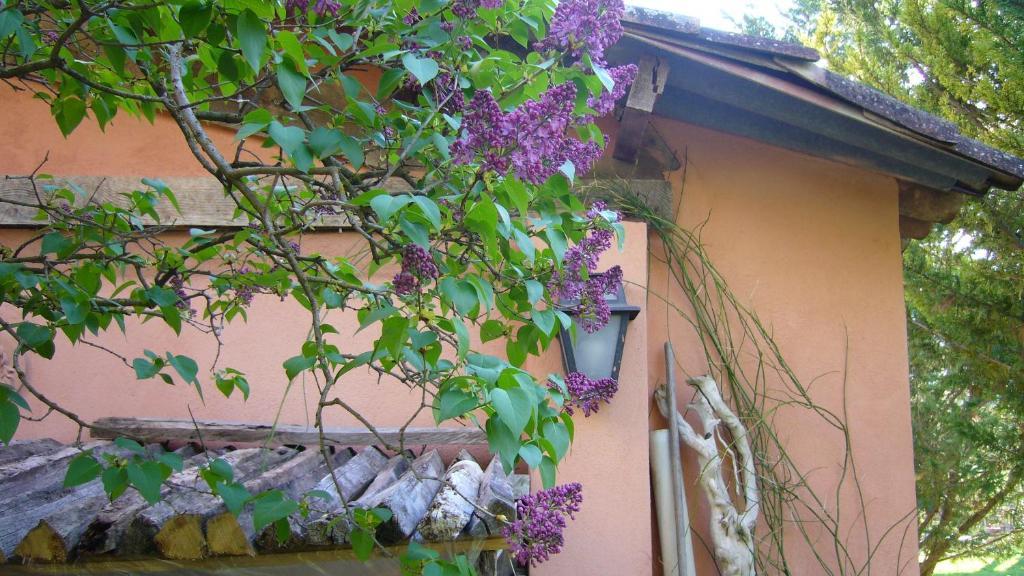 La Maison De Melen มูสติเยร์-แซ็งต์-มารี ภายนอก รูปภาพ